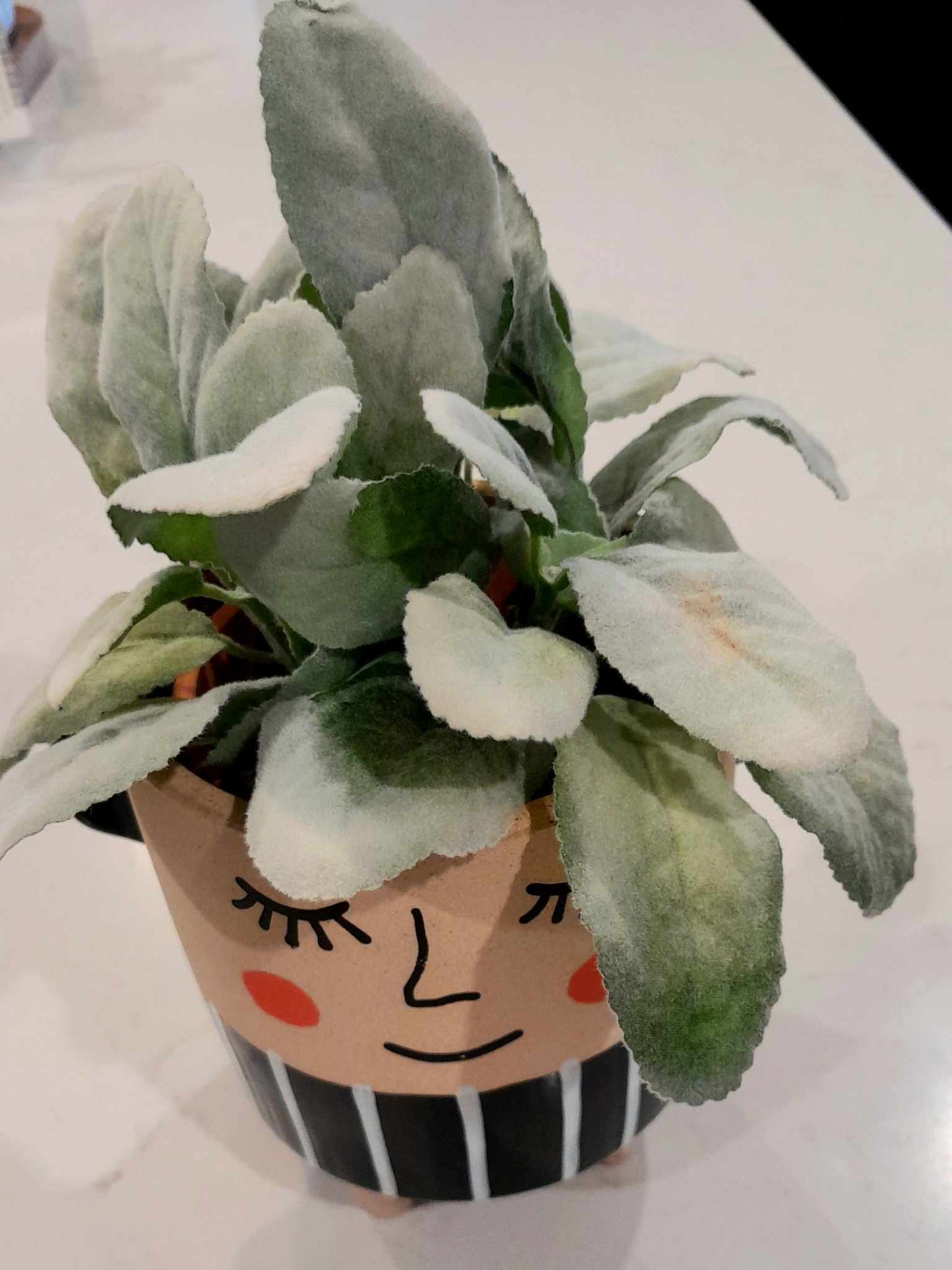 (B) WHIMSY Smiles Planter with Faux Greenery