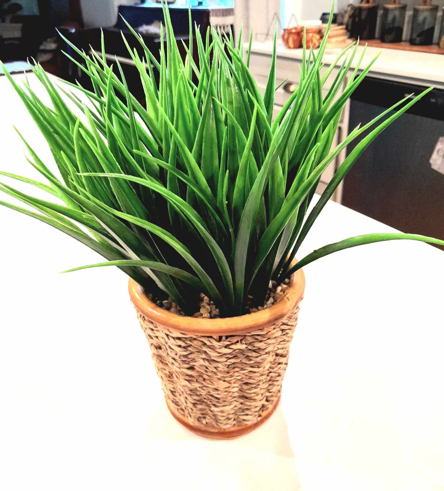 (B) RUSTIC Faux Grass Plant