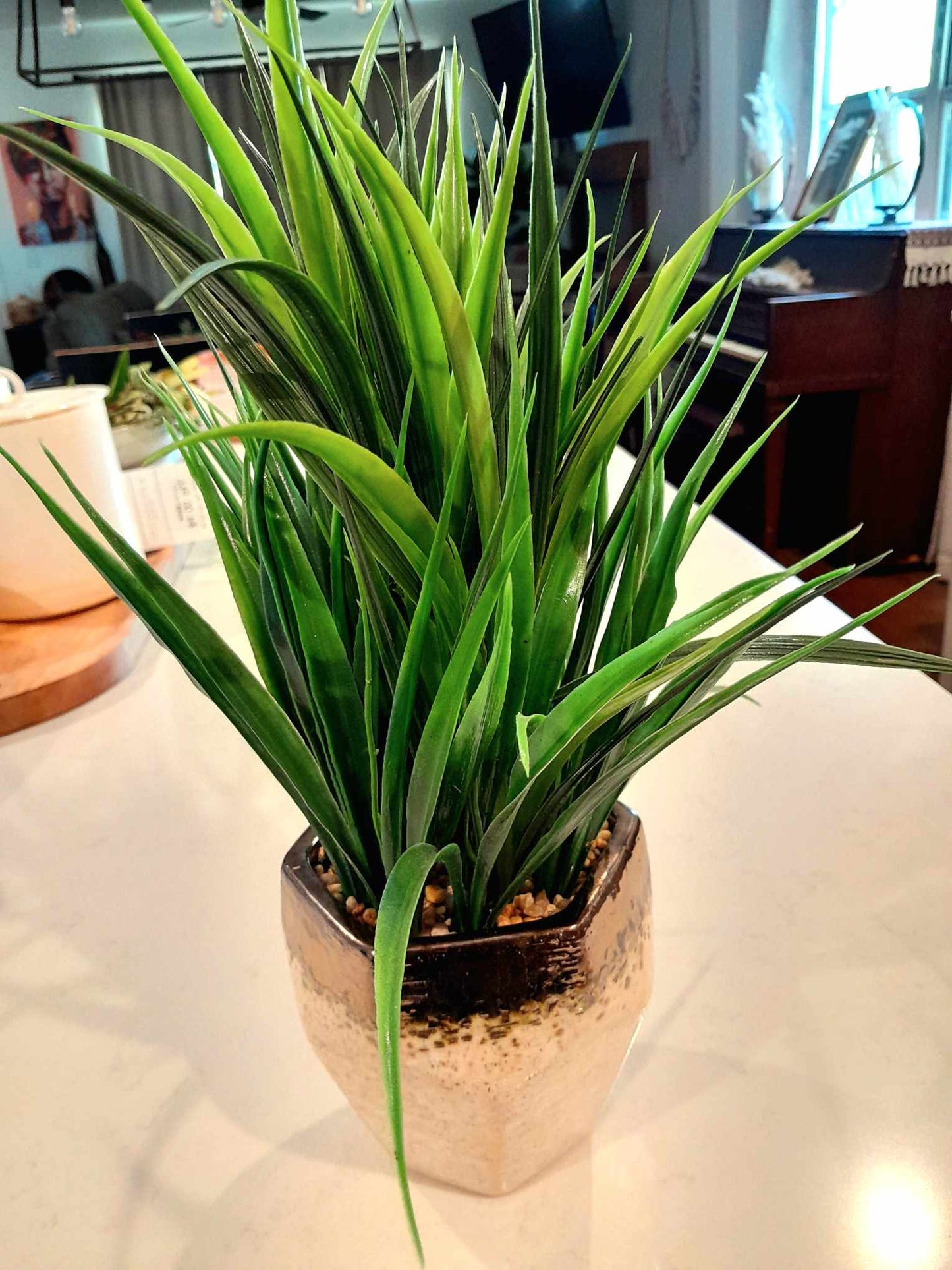 (B) BLISS Evergreen Faux Plant in Textured Pot