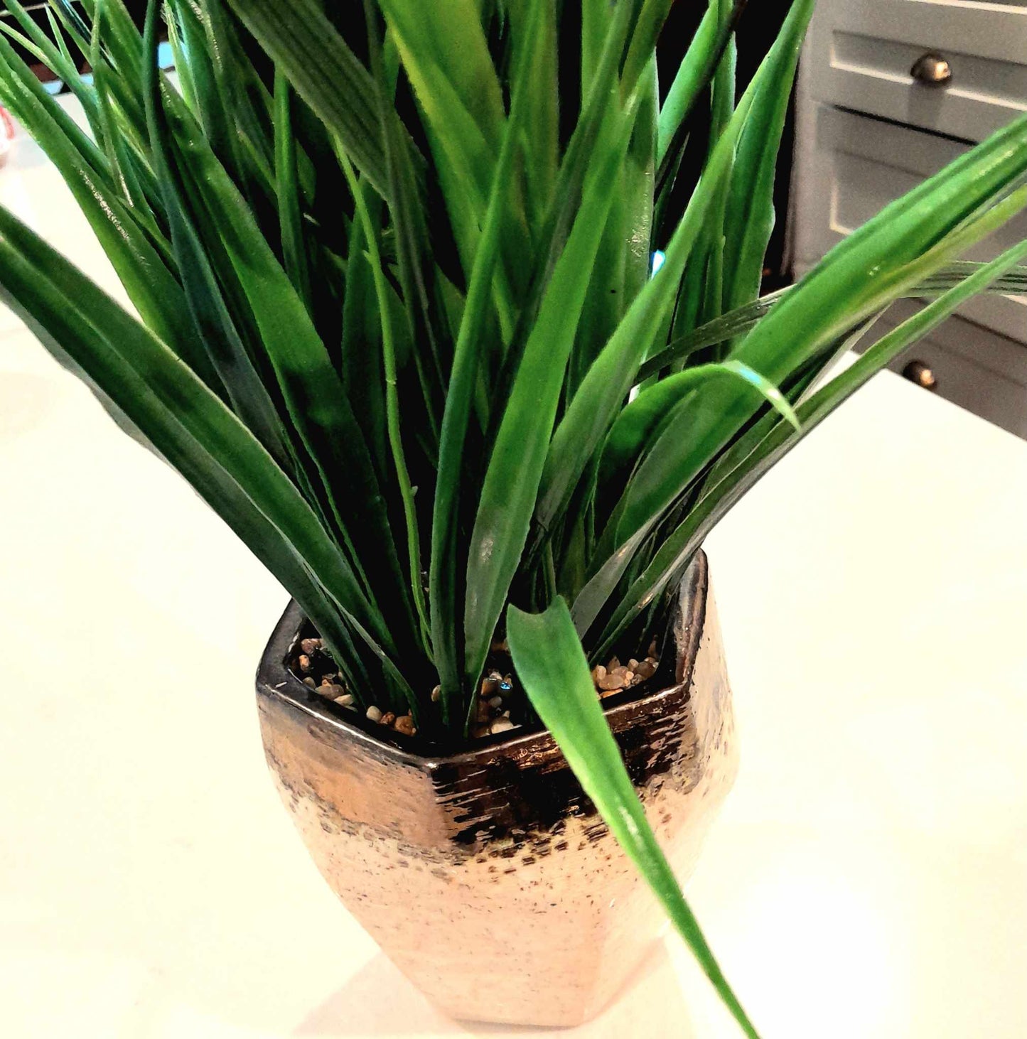 (B) BLISS Evergreen Faux Plant in Textured Pot