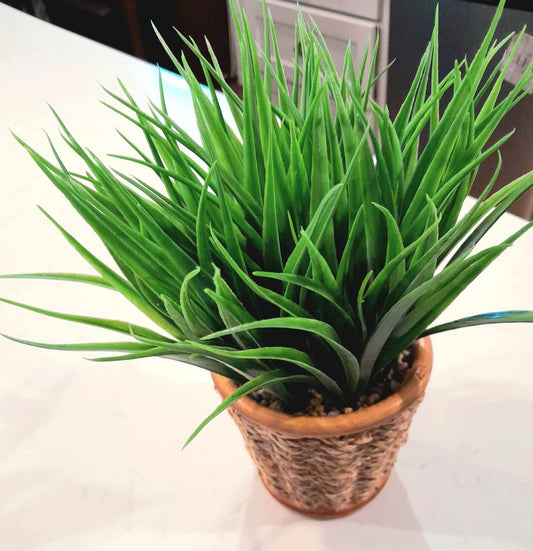 (B) RUSTIC Faux Grass Plant