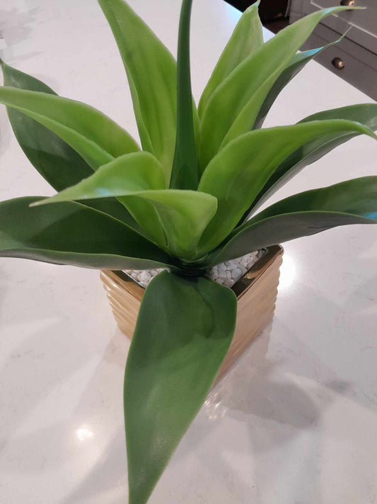 (B) MODERN Faux Succulent in Textured Ceramic Pot